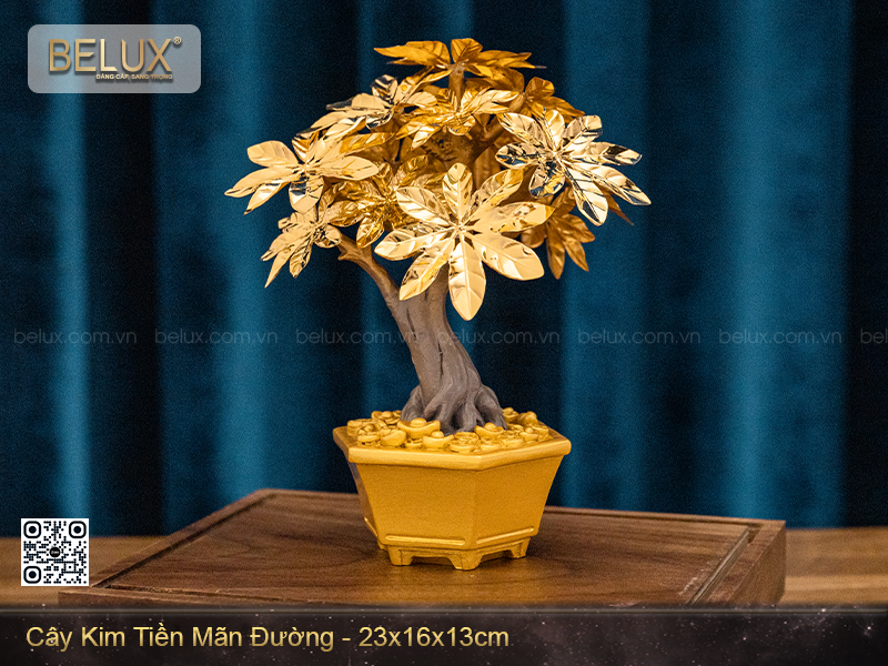 Cây kim tiền mãn đường dat vàng